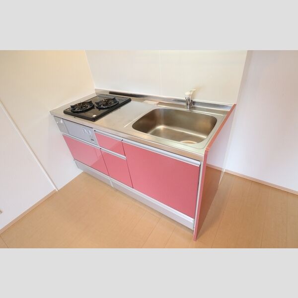 パシ・アージュパルコ105号室 システムキッチン