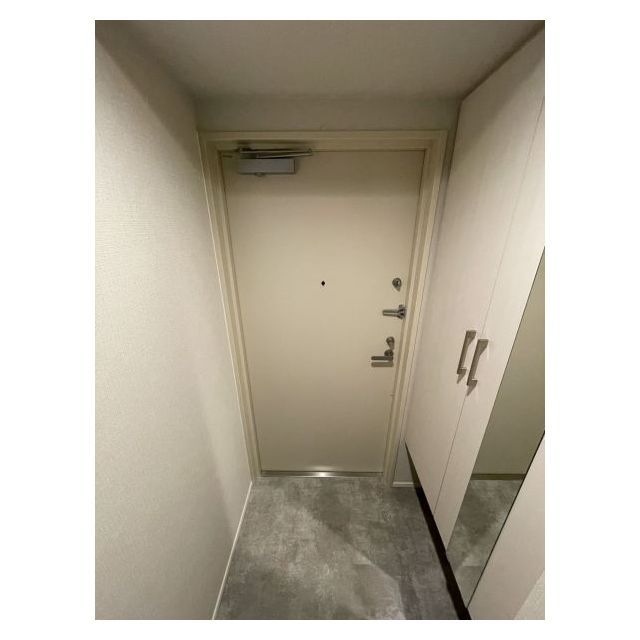 ドゥーエ亀戸Ⅱ0803号室 玄関