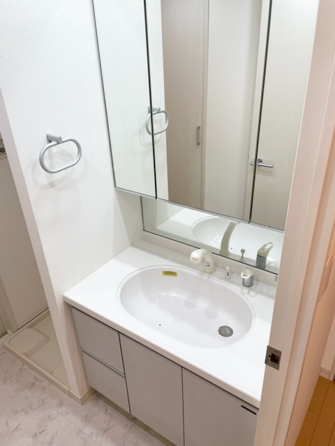 グランド・ガーラ代田橋 洗面所です