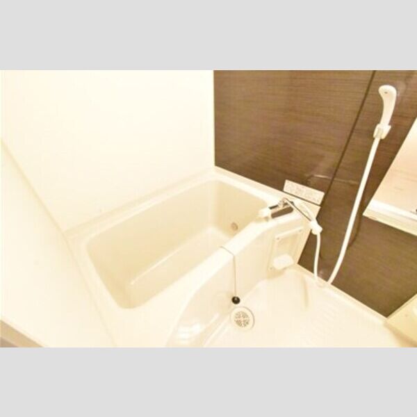 アルスノーヴァⅡ バス