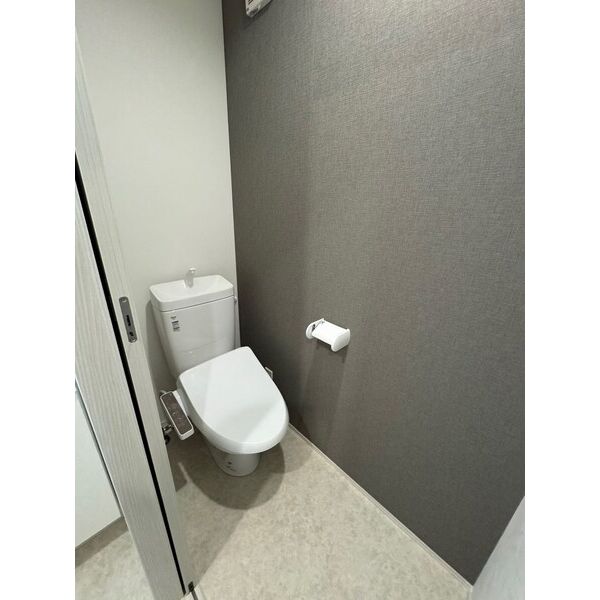 Bella Vista海老名302号室 部屋その他