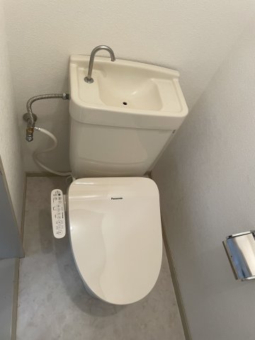 大野ハイツ0203号室 トイレ