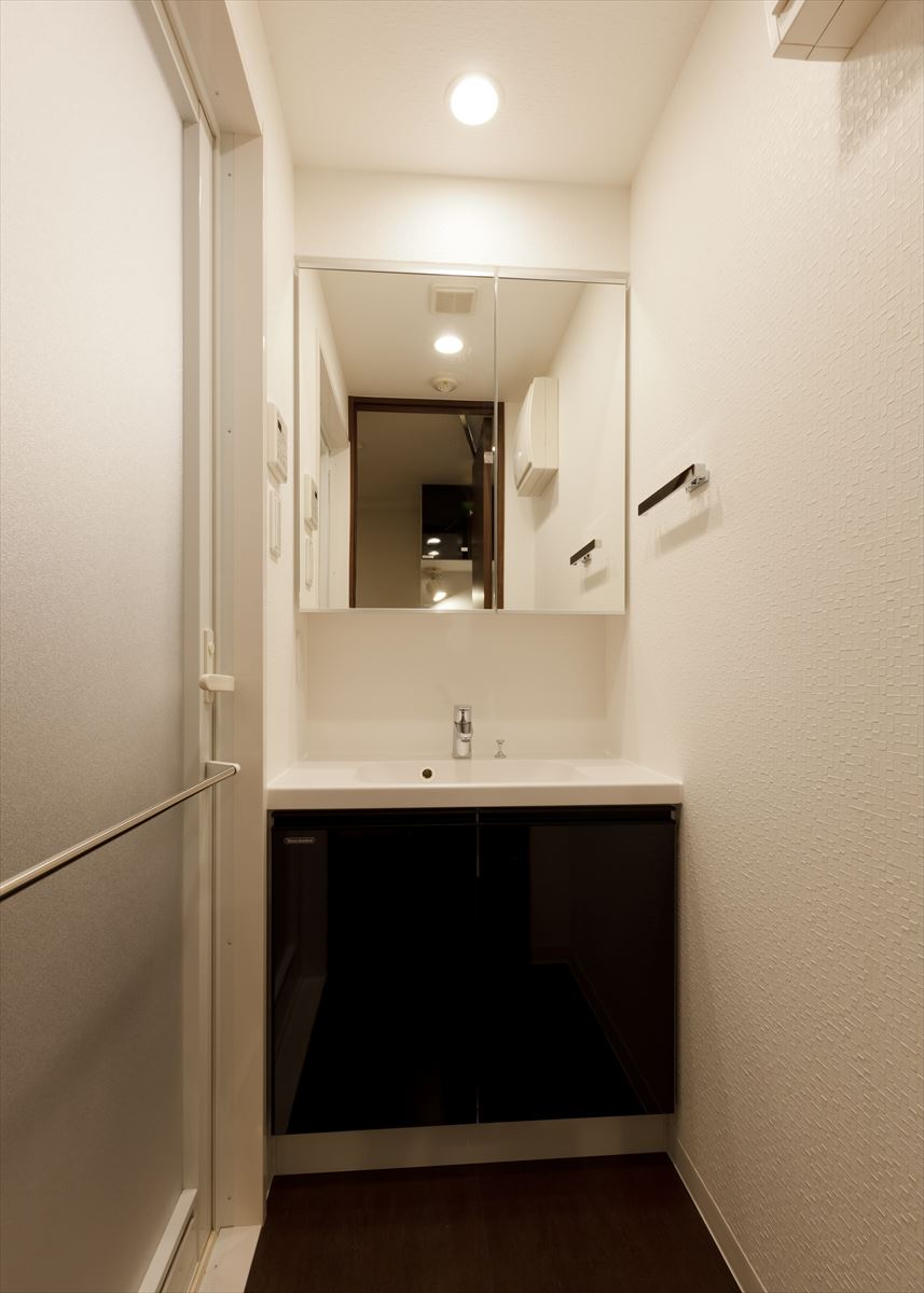 DIPS十条仲原WEST503号室 洗面