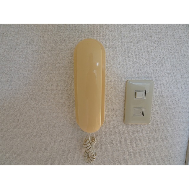 ドミール上池台0203号室 インターホン