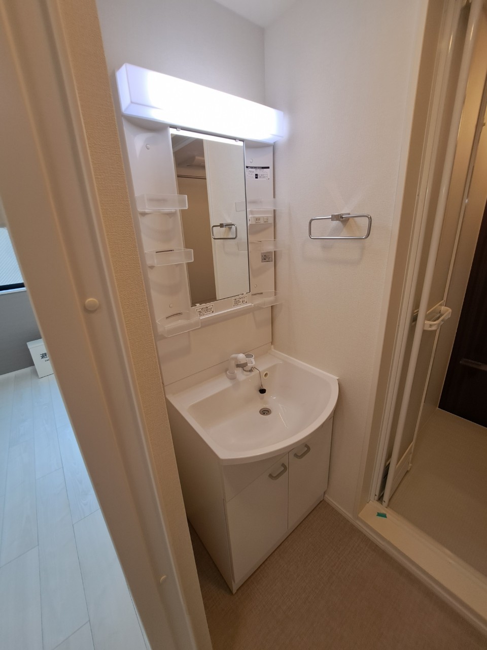 メゾンドシエル0202号室 洗面