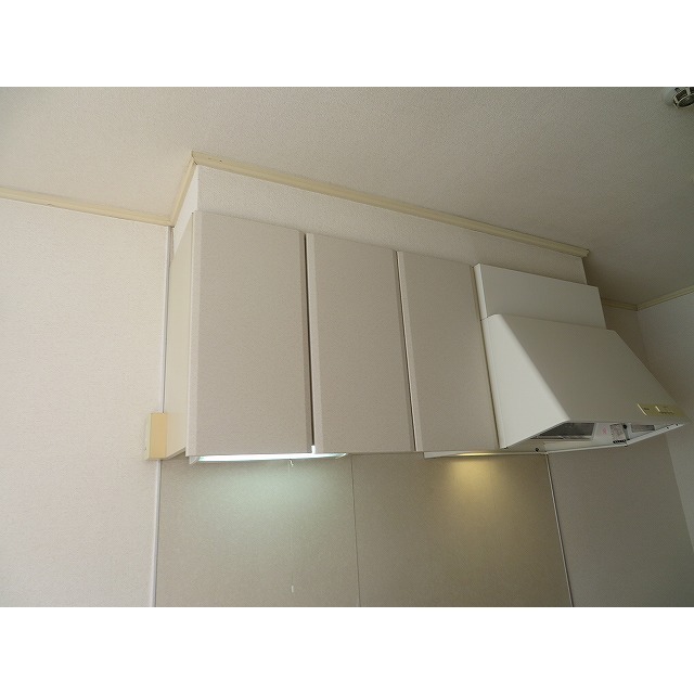 ユーハイツ0205号室 キッチン上部収納