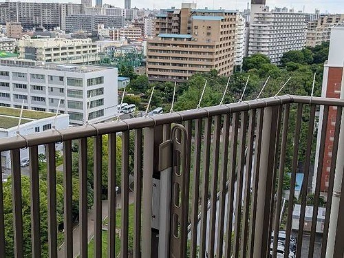 ライオンズシティ東陽町親水公園14階 バルコニーからの眺望