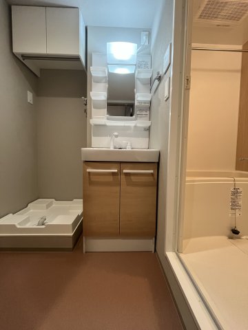 アルティザ氷川台0201号室 洗面