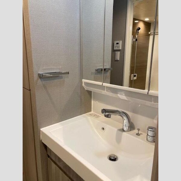 S-RESIDENCE北戸田504号室 洗面