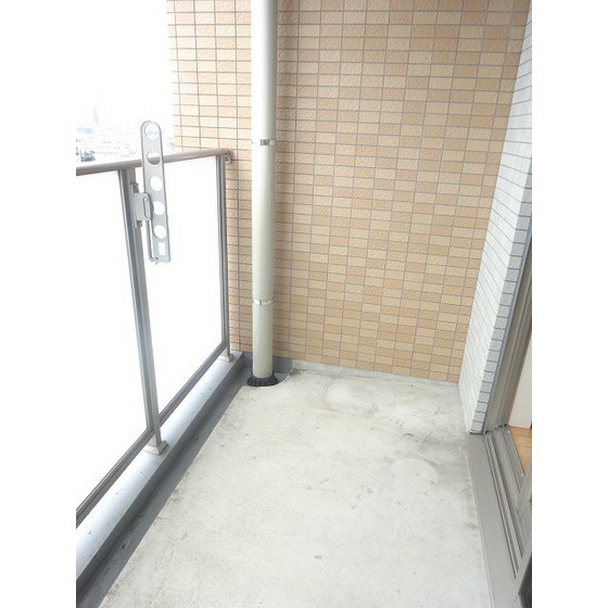 いずみマンションⅡ0801号室 バルコニー