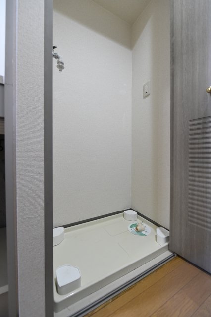 ライオンズプラザ上野毛2階 室内洗濯機置場