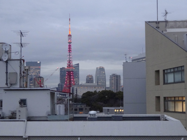 スカイコート三田慶大前1001号室 東京タワー