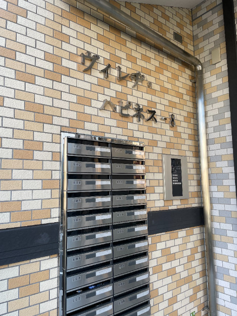 ヴィレヂ・ハピネス-8 エントランス