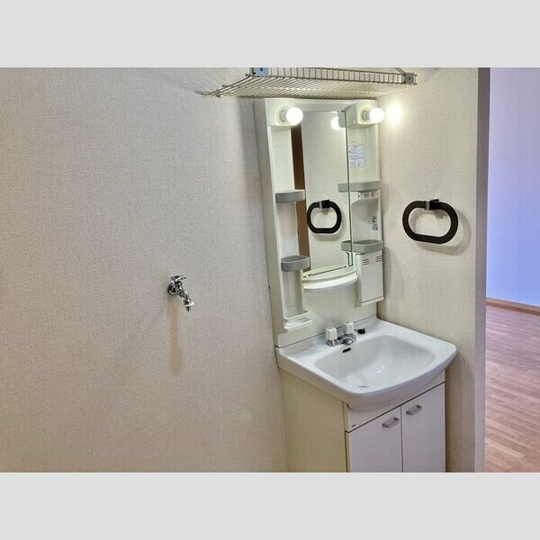 グリーンヒルズ　H棟 洗面台