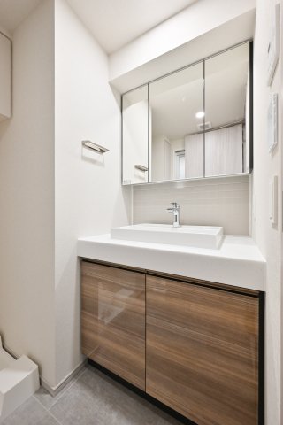 リビオメゾン西麻布506号室 洗面