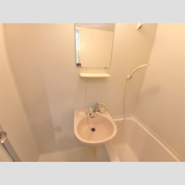 パーク本丸　(住居) 洗面ボウル