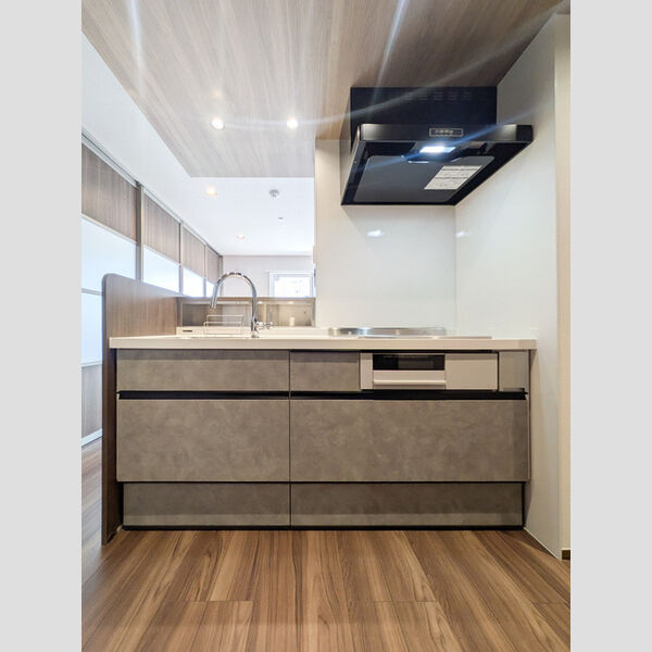 ノーブルパレス芝中田101号室 システムキッチン