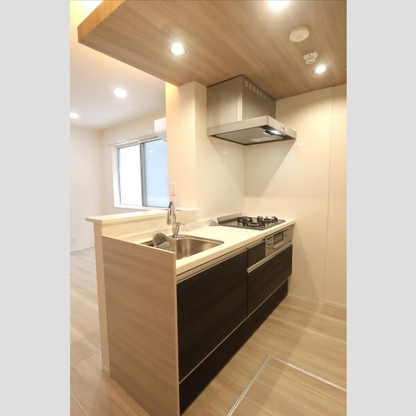 セレスティア小豆沢103号室 キッチン
