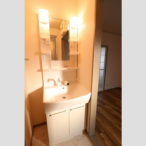 フリージアコート 洗面