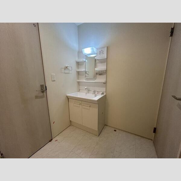 リーブルファイン松戸大金平201号室 洗面
