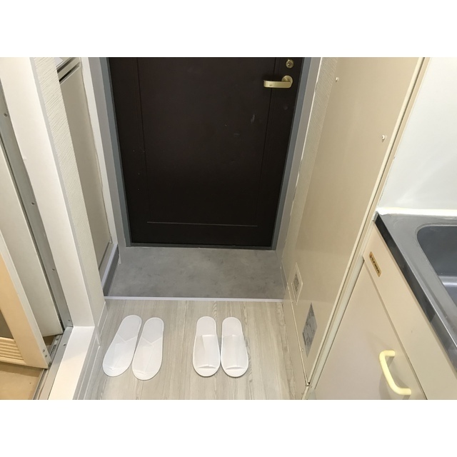 ドリームスペースマンションC-08号室 玄関