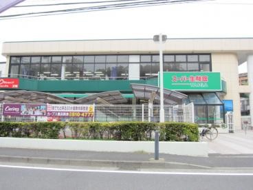 ワコーレエレガンス緑園都市 スーパー生鮮館TAIGA岡津店