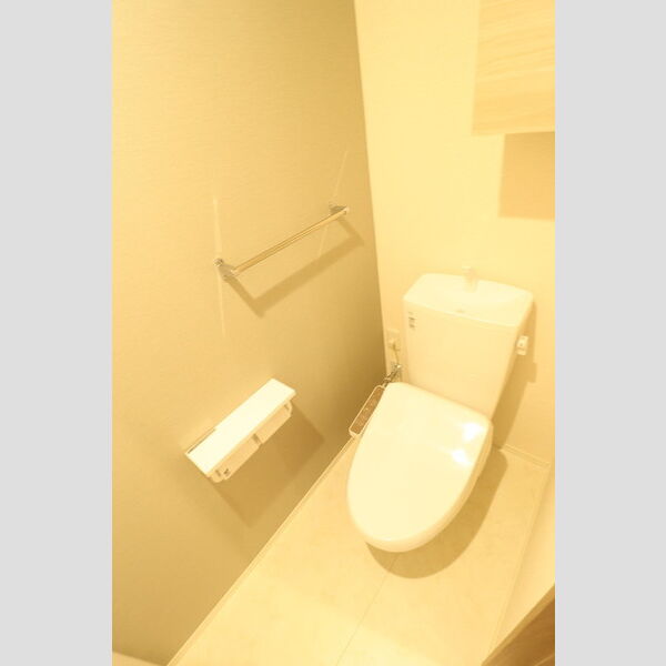 D-comodo深大寺北町301号室 トイレ