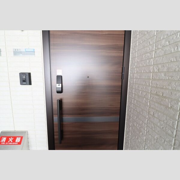 D-Style久米川301号室 玄関ドア