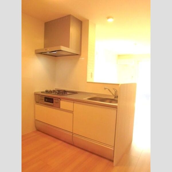 パークハイム202号室 対面システムキッチン