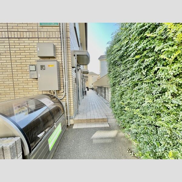 ソシアN アプローチ