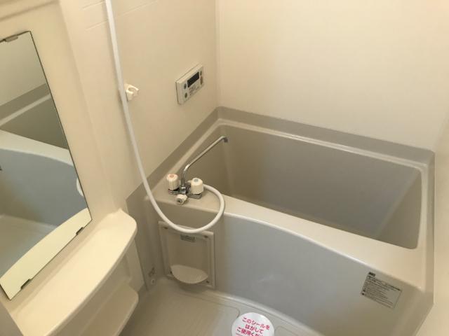 パイン・フィールド　 バス