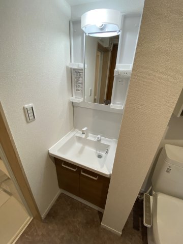 ヴィラベイルーム本厚木101号室 洗面