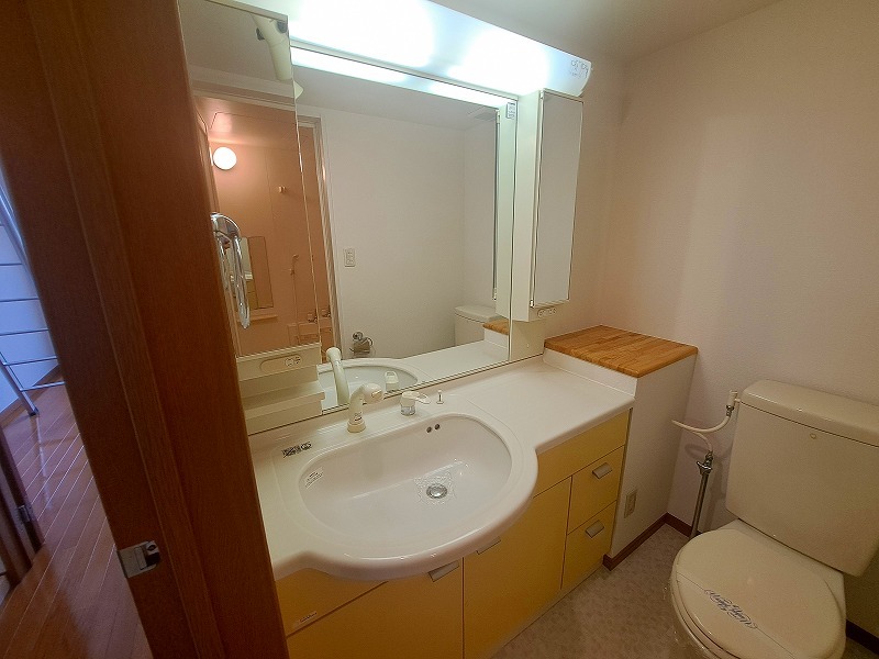 メゾン・ヴェルデ 洗面