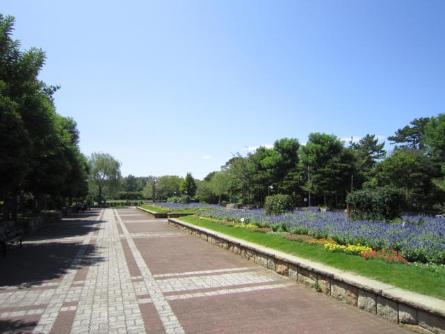 ベルデュール湘南太平台 長久保公園まで320ｍ