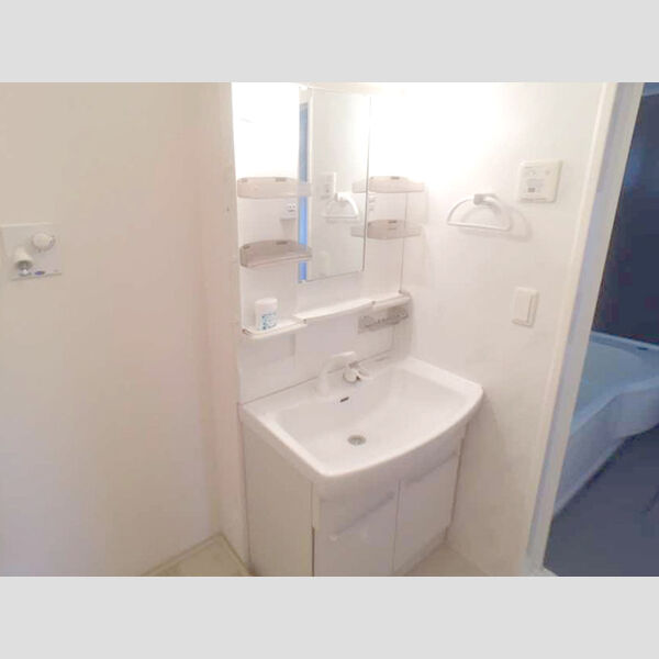 フォレステージ　D202号室 洗髪洗面化粧台