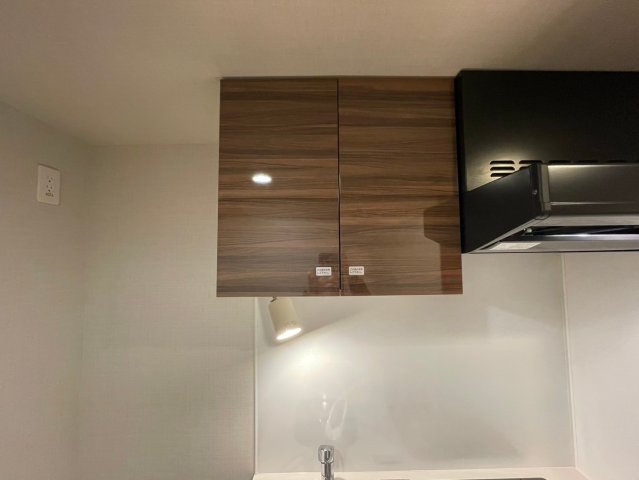DIPS大山東町303号室 キッチン