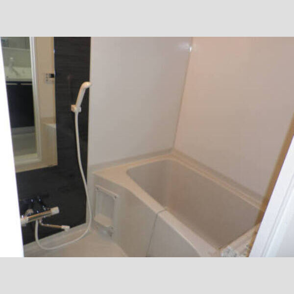 フェアレーンアネックス303号室 フェアレーンアネックス 浴室