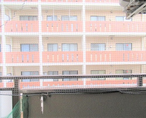 ビブレ西池8階 同建物別部屋の参考画像