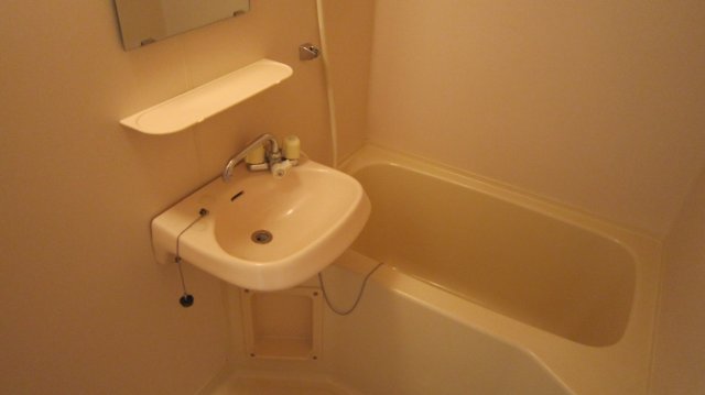 グリーンプラザＡ棟A105号室 洗面