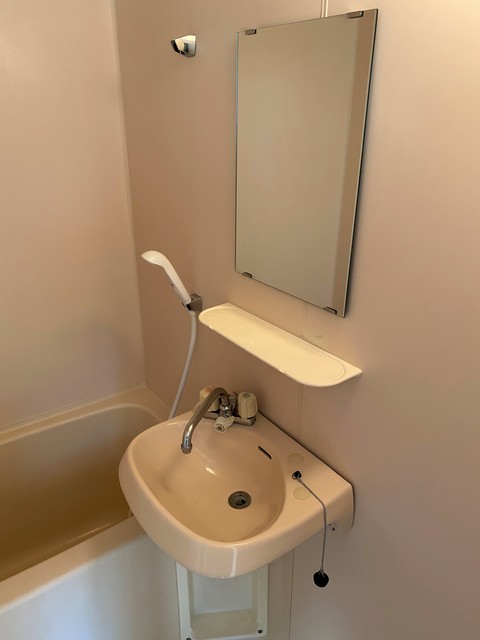 グリーンプラザＢ棟B201号室 洗面