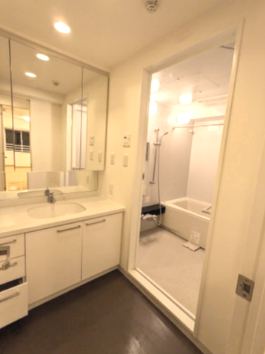 エムジー目黒駅前1209号室 洗面