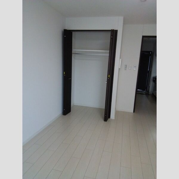 アエル新所沢203号室 クローゼット