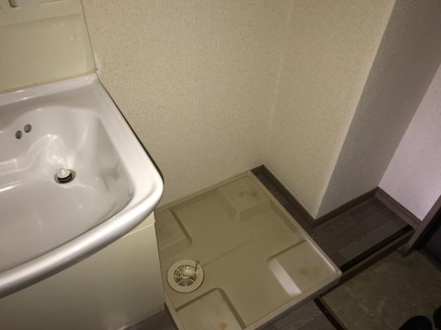 Ｐａｇｅ　Ⅰ103号室 室内洗濯機置場