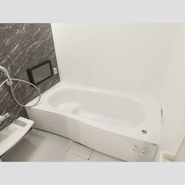 パレス　グランディオーサ108号室 浴室