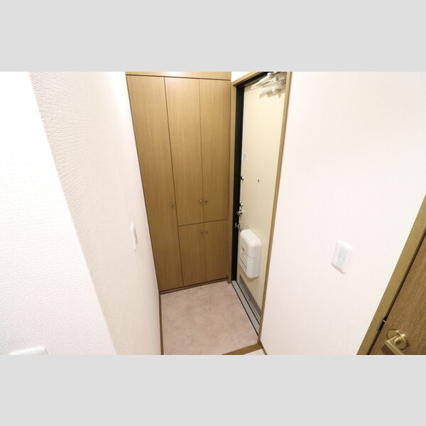 ルミナール203号室 玄関