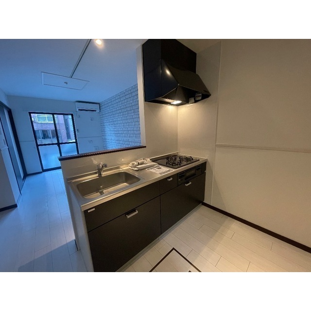 DuplexNakaiⅡ2-D号室 キッチン