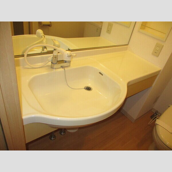 ノーベルパーク　15・16・1716-206号室 洗髪洗面化粧台