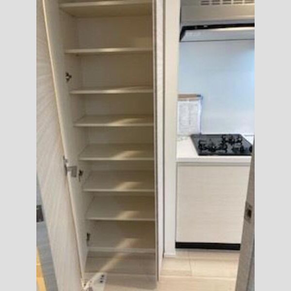 S-RESIDENCE新御徒町East602号室 洗面