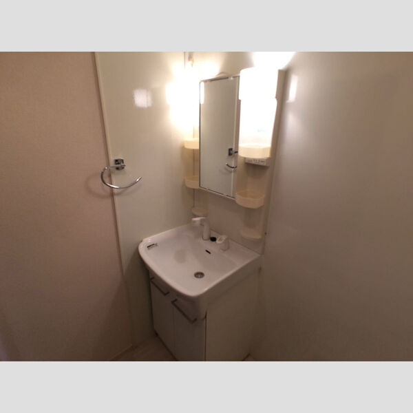 メゾン・レ・シエル202号室 洗面