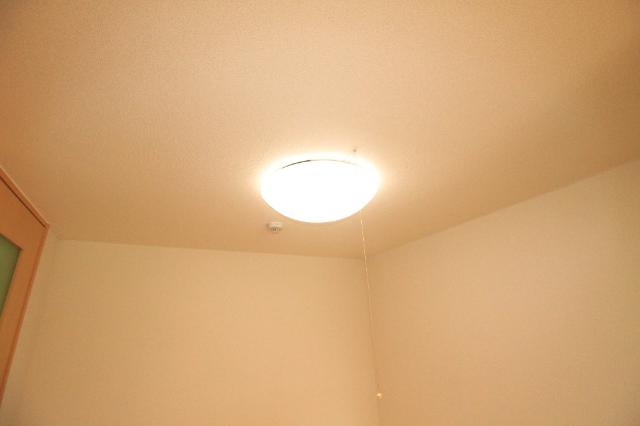 ピュアガーデン美穂 照明